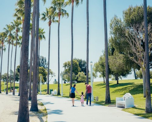 Family taking a gentle walk along a coastal pathway on a sunny weekend