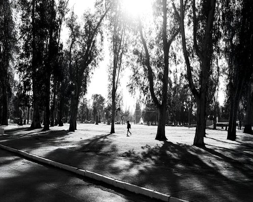 A person walking comfortably through a sunny urban park in Peru